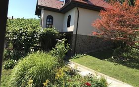 Wine&Nature&Tour