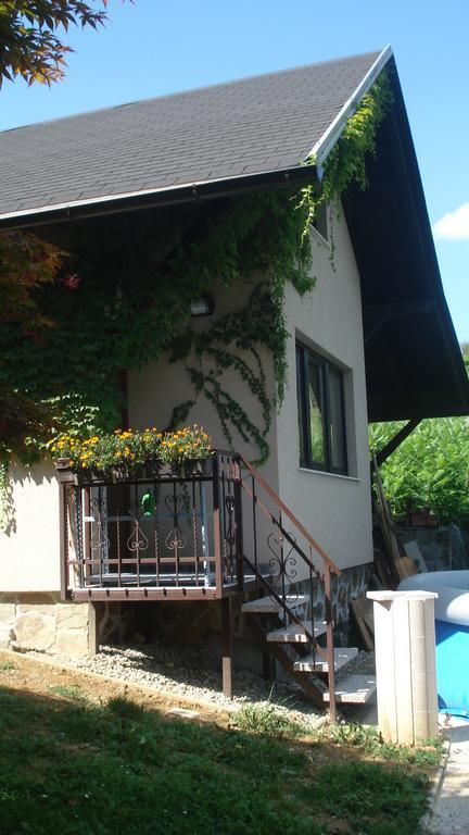 Wine&Nature&Tour Zgornji Leskovec Extérieur photo