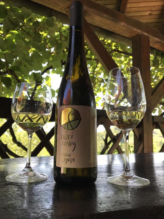 Wine&Nature&Tour Zgornji Leskovec Extérieur photo
