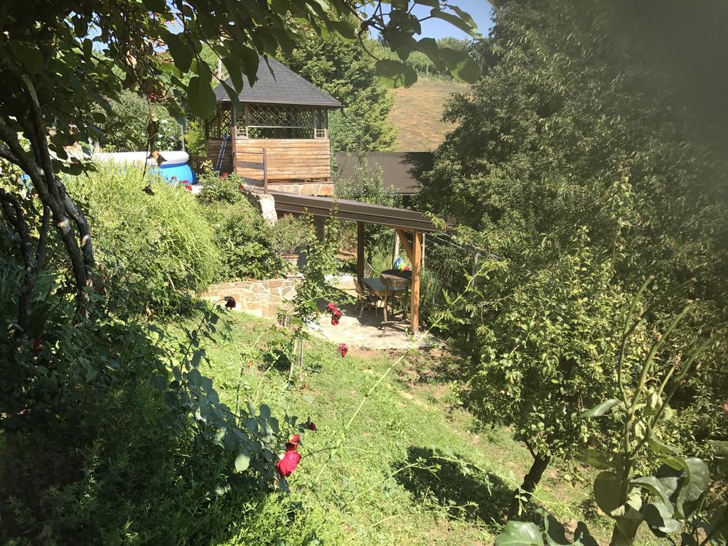 Wine&Nature&Tour Zgornji Leskovec Extérieur photo