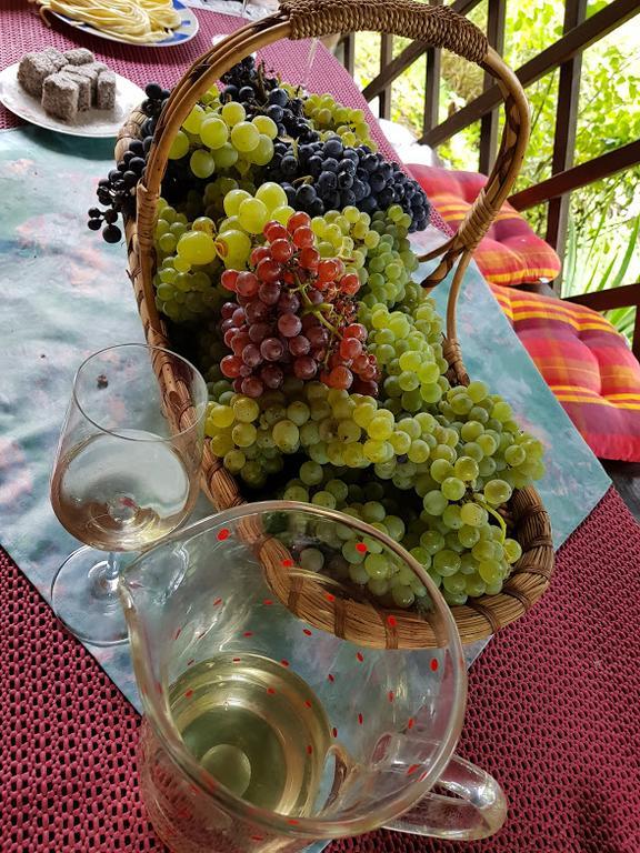 Wine&Nature&Tour Zgornji Leskovec Extérieur photo